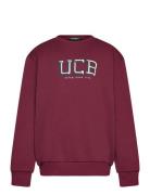 Sweater L/S Tops Sweat-shirts & Hoodies Sweat-shirts Burgundy United C...