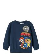Nmmsteffen Paw Nreg Sweat Bru Noos Cplg Tops Sweat-shirts & Hoodies Sw...