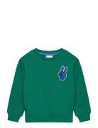 Tnstphineas Os Sweatshirt Tops Sweat-shirts & Hoodies Sweat-shirts Gre...