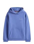 Mini Corp Hoodie Tops Sweat-shirts & Hoodies Hoodies Blue Tommy Hilfig...