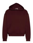 Simon Scuba Hoodie Tops Sweat-shirts & Hoodies Hoodies Burgundy Weekda...
