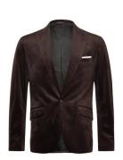 Velvet Blazer Suits & Blazers Blazers Single Breasted Blazers Brown Li...