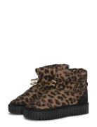 Tulip6082 Shoes Boots Ankle Boots Ankle Boots Flat Heel Brown Ilse Jac...