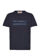 Navy Orion T-Shirt Tops T-shirts Short-sleeved Navy THE ANIMALS OBSERV...