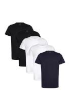 Claudio 5-Pack T-Shirt Cotton Tops T-shirts Short-sleeved Black Claudi...