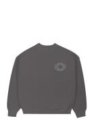 Legacy Knit Sweater Tops Knitwear Round Necks Grey Prohibited