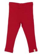 Legging Modal Bottoms Leggings Red Petit Piao