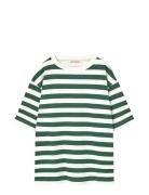 Stripes Freen Collie T-Shirt Tops T-shirts Short-sleeved Green THE ANI...