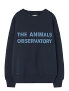 Navy Leo Sweatshirt Tops Sweat-shirts & Hoodies Sweat-shirts Navy THE ...