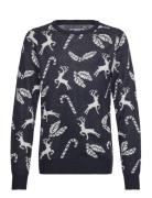 Jjxmas Andrew Knit Crew Neck Jnr Tops Knitwear Pullovers Navy Jack & J...