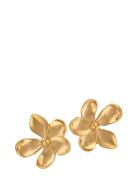 Blumie - Earstuds Gold-Plated Accessories Jewellery Earrings Studs Gol...