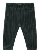 Pants Velour Corduroy Bottoms Sweatpants Green En Fant