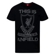 Liverpool T-paita - Musta/Harmaa