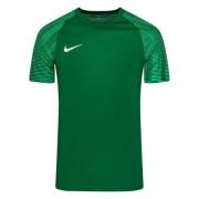 Nike Pelipaita Dri-FIT Academy - Vihreä/Valkoinen