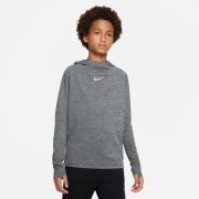 Nike Huppari Dri-FIT Academy Pullover - Lapset Harmaa Lapset