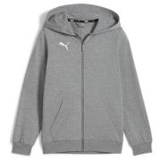 PUMA Huppari teamGOAL Casuals Full Zip - Harmaa/Valkoinen Lapset