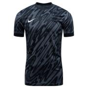 Nike Maalivahdin paita Dri-FIT Gardien V - Harmaa/Musta/Valkoinen