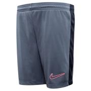 Nike Treenishortsit Dri-FIT Academy 23 - Harmaa/Pinkki Lapset