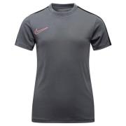 Nike Treenipaita Dri-FIT Academy 23 - Harmaa/Musta/Pinkki Lapset