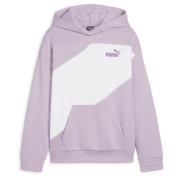 PUMA POWER Colorblock Hoodie TR G Grape Mist