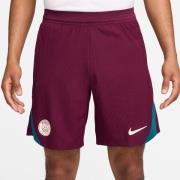 Paris Saint-Germain Treenishortsit Dri-FIT ADV Strike Elite - Bordeaux...