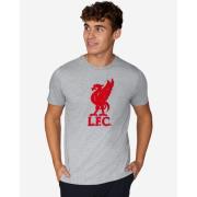 Liverpool T-paita Liverbird - Harmaa