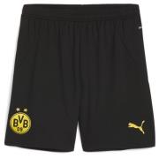 Puma Borussia Dortmund 24/25 Shorts Men