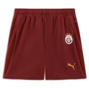 Puma Galatasaray SK 24/25 Shorts Youth