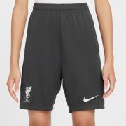 Liverpool Treenishortsit Dri-FIT Academy Pro - Harmaa/Valkoinen Lapset