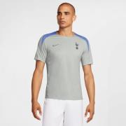 Tottenham Treenipaita Dri-FIT Strike - Harmaa/Turkoosi/Harmaa